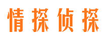 应城外遇调查取证